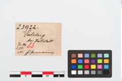Etiketten zu Eisenring (NHMW-PRAE-023922)